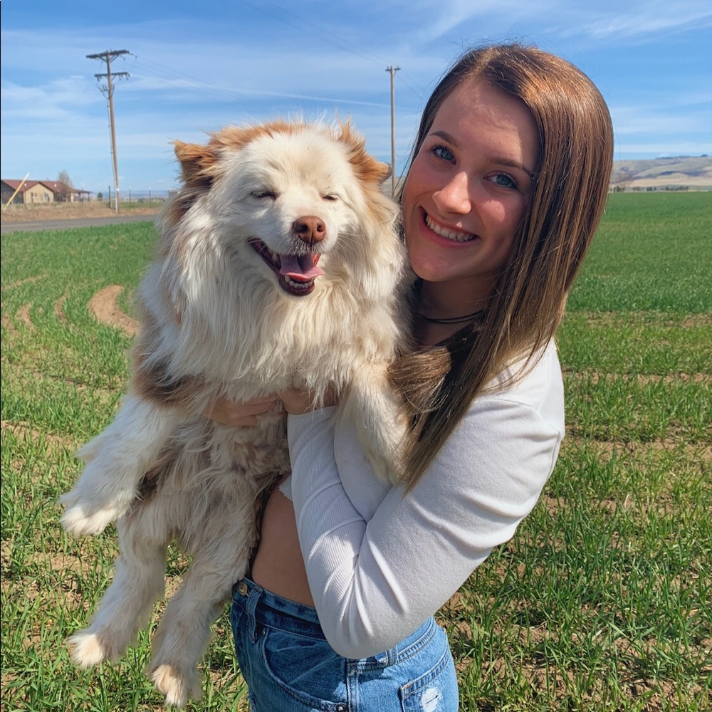 Meet your Posher, Charlie